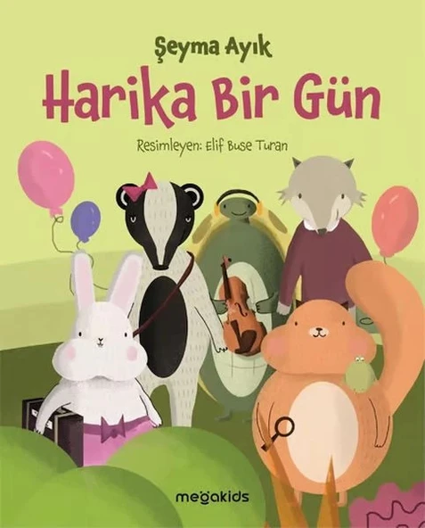Harika Bir Gün ürün görseli