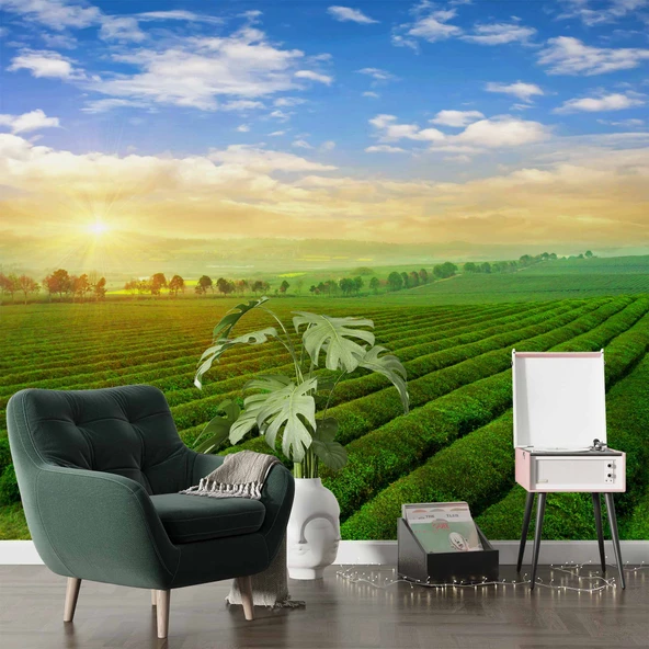 Çiçek Bahçesi Manzaralı Duvar Kağıdı Baskı - Resim 6