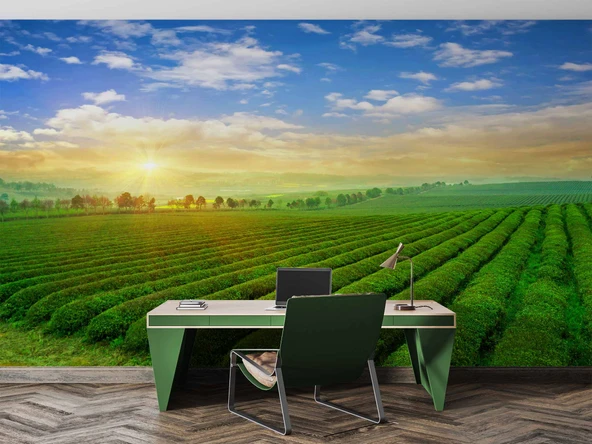 Çiçek Bahçesi Manzaralı Duvar Kağıdı Baskı - Resim 4