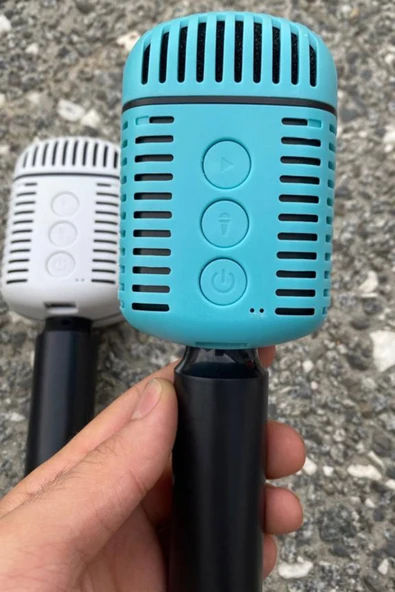 Tntech Yüksek Kaliteli Ses Kraroke Mikrofon Bluetooth Hoparlör Fm Radyo Girişli TNT-MC873 - Resim 2