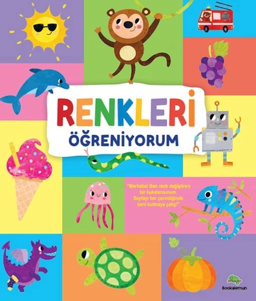 Renkleri Öğreniyorum ürün görseli
