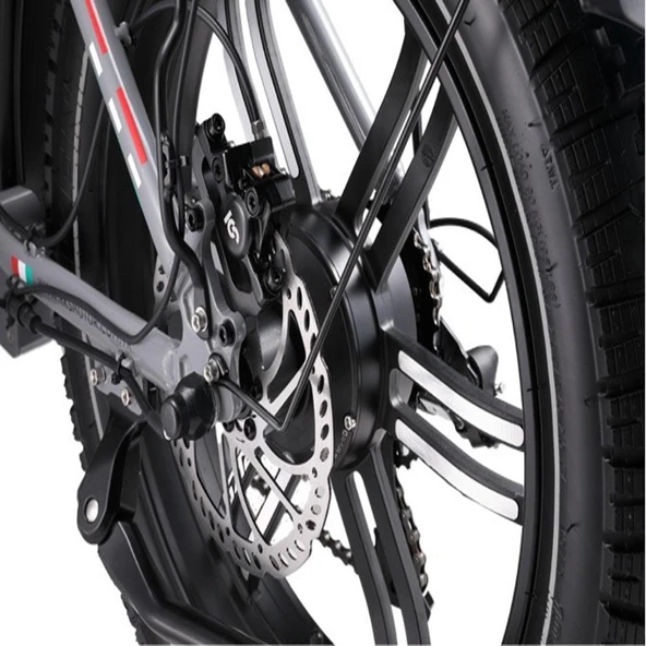 RKS NERON-M PREMIUM 750W ELEKTRİKLİ BİSİKLET GRİ - 2