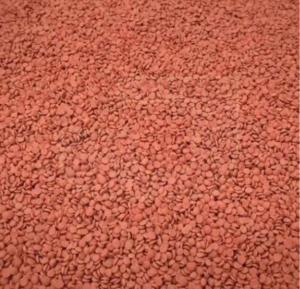 Ahm Large XL Cichlid Granulat Granül Balık Yemi 1000 ml - 2
