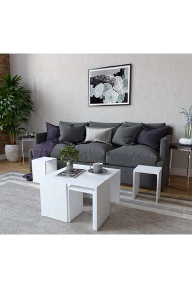 Decormet Ortanca Sehpa Beyaz - Resim 7