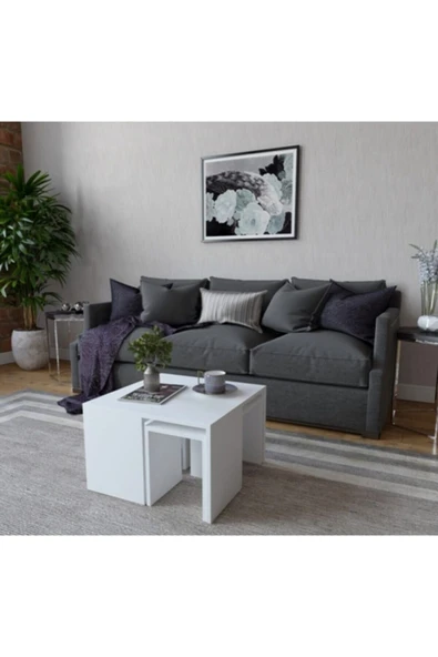 Decormet Ortanca Sehpa Beyaz - Resim 3