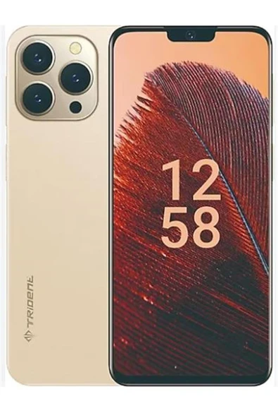 TREND Trident A55 128GB Hafıza 6GB Ram 6,52" Gold Cep Telefonu ürün görseli