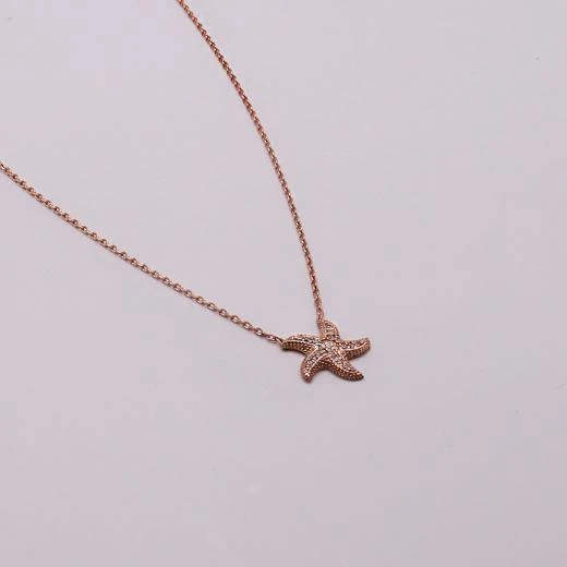 AgaKulche Gümüş Deniz Yıldızı Hayalet Kolye - Resim 3