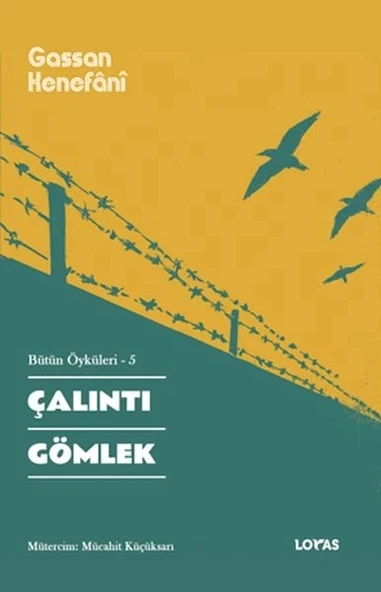 Çalıntı Gömlek Bütün Öyküleri -5