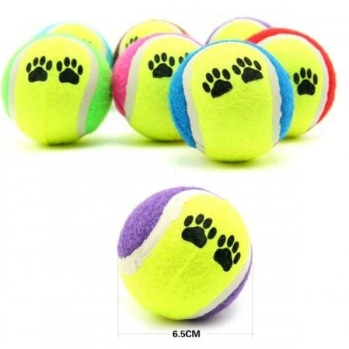 At Getir Köpek Eğitim Topu - Resim 3