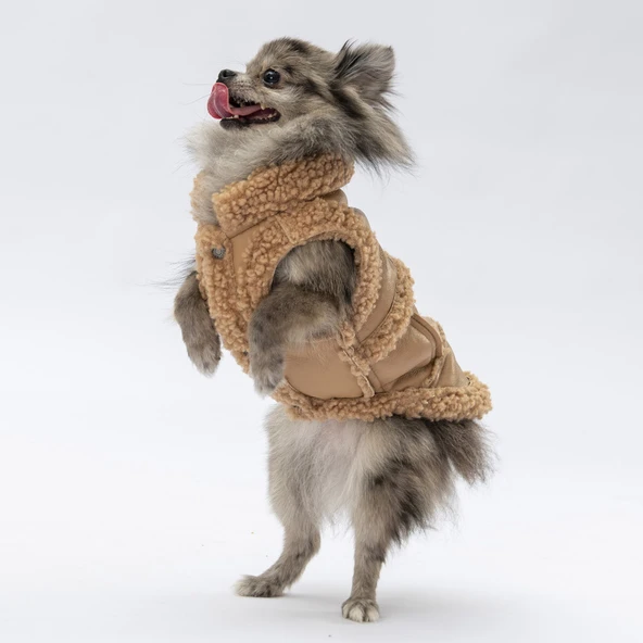 Pawstar Bej Churchill Su Geçirmez Küçük Irk Köpek Yeleği - Resim 5