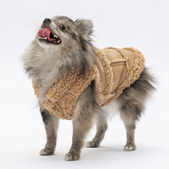 Pawstar Bej Churchill Su Geçirmez Küçük Irk Köpek Yeleği - Resim 3