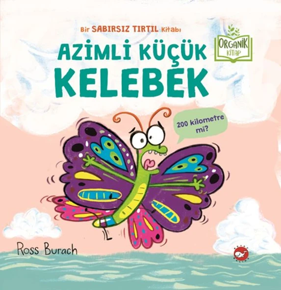 Azimli Küçük Kelebek ürün görseli 1
