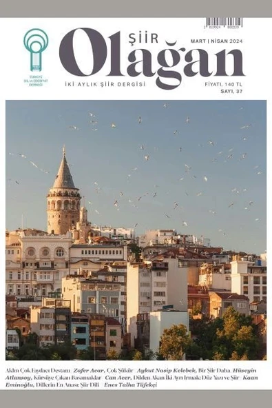 Olağan Şiir (37. Sayı) ürün görseli