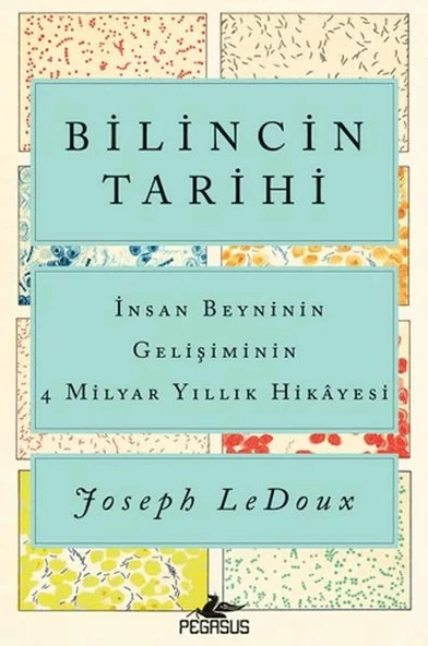 Bilincin Tarihi: İnsan Beyninin Gelişiminin 4 Milyar Yıllık Hikayesi ürün görseli