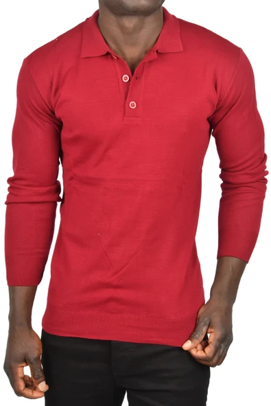 DeepSEA Slim Fit Polo Yaka İnce Triko Kazak 2505500 - Resim 2