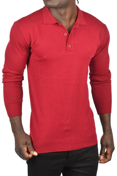 DeepSEA Slim Fit Polo Yaka İnce Triko Kazak 2505500 ürün görseli