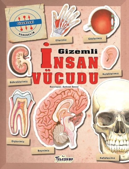 Gizemleri Öğrenelim - Gizemli İnsan Vücudu ürün görseli