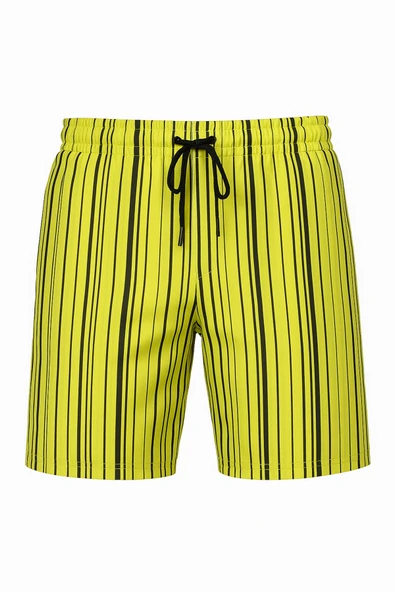 DeepSEA Çizgili Hızlı Kuruyan Micro Kumaş File Astarlı Deniz Şortu 2403011 - Resim 3