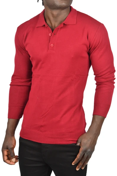 DeepSEA Slim Fit Polo Yaka İnce Triko Kazak 2505500 - Resim 4