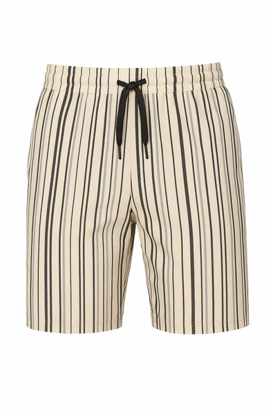 DeepSEA Çizgili Hızlı Kuruyan Micro Kumaş File Astarlı Deniz Şortu 2403011 - Resim 5