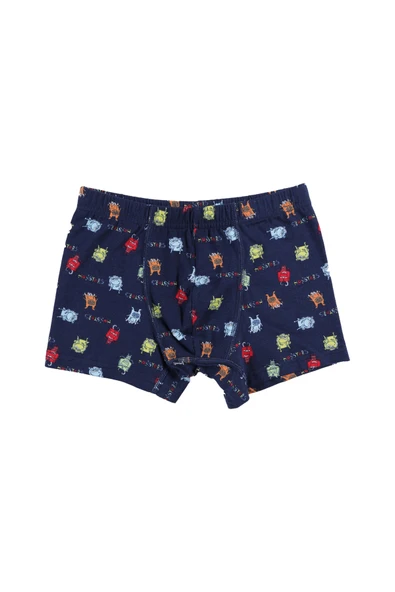 Erkek Çocuk Pamuklu 5'li Baskılı Boxer - Resim 3