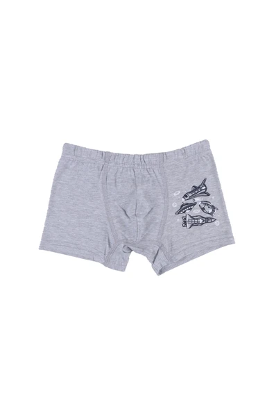 Erkek Çocuk Pamuklu 5'li Baskılı Boxer - Resim 8