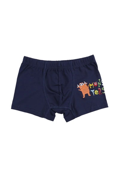 Erkek Çocuk Pamuklu 5'li Baskılı Boxer - Resim 5