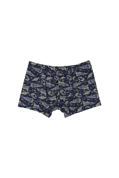 Erkek Çocuk Pamuklu 5'li Baskılı Boxer - Resim 9