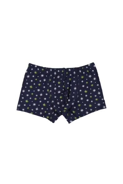 Erkek Çocuk Pamuklu 5'li Baskılı Boxer - Resim 10