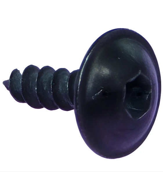 DAVLUMBAZ TORX VİDA 4,8x16x15 mm (100 ADET) - 2