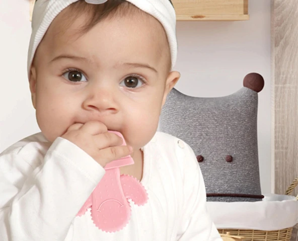 Babyjem Diş Kaşıyıcı Kaktüs Pembe - 2