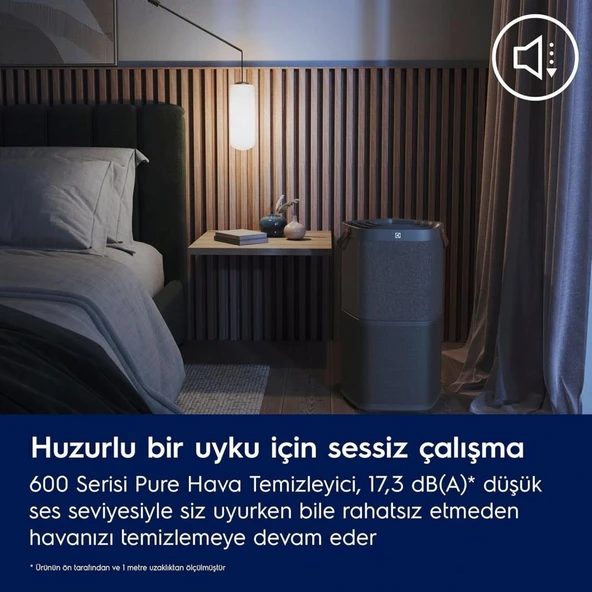 Electrolux EPO60571DG Hava Temizleyici Teşhir - 4