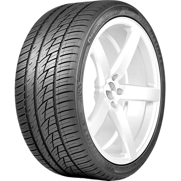Delinte DS8 255/55R20 110W (4 Mevsim) (2025) ürün görseli 1