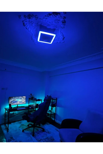 Viesteknoloji Modern Ledli Avize Tavana Sıfır Led Avize Panel Üç Renkli 24cm Çaplı Yüksek Işık Güçlü 18+6w - Resim 5