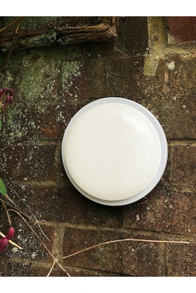 luxshome 30W IP54 Su Geçirmez Yuvarlak LED Bahçe Aydınlatma Lambası, Dış Mekan Tavan Balkon ve Duvar Işığı - Resim 2