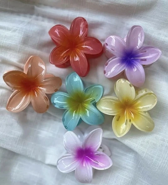 Lotus Mandal Toka - 1