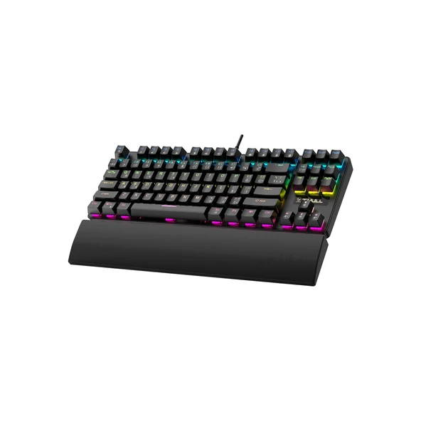 Apex THL-KB-APX540S Kablolu Mekanik Gaming Klavye 87 Tuş 26 Anti Ghosting 17 LED Modu USB Türkçe Q - Resim 3