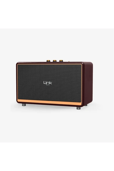 M408 Premium Mikrofonlu 100W Retro Bluetooth Hoparlör - Resim 3