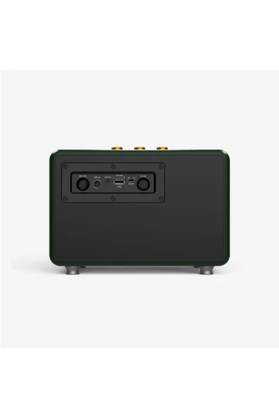 M407 Çift Mikrofonlu 50w Retro Bluetooth Radyo Hoparlör - Resim 3