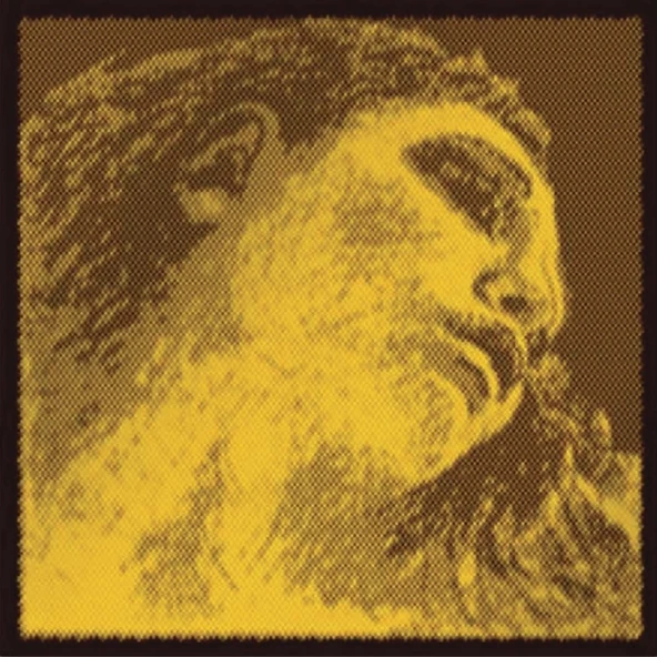 Pirastro Evah Pirazzi Gold  415021 Keman Teli ürün görseli