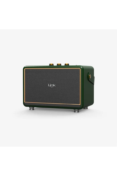 M407 Çift Mikrofonlu 50w Retro Bluetooth Radyo Hoparlör ürün görseli