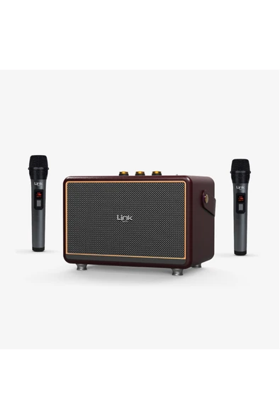 M407 Premium Çift Mikrofonlu 50W Retro Bluetooth Radyo Hoparlör ürün görseli 1