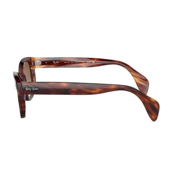 Ray-Ban 0880S 954/51 Striped Havana-Brown Güneş Gözlüğü - Resim 2