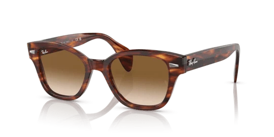 Ray-Ban 0880S 954/51 Striped Havana-Brown Güneş Gözlüğü ürün görseli