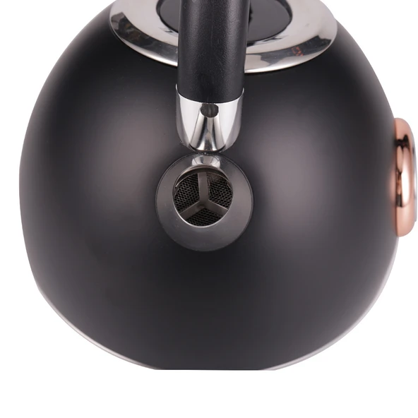 Yasomi YK-880NTSL Retro Su Isıtıcı Kettle Siyah - Resim 2