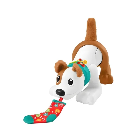 Fisher Price Emeklemeyi ve Saymayı Öğreten Köpekçik HHH13