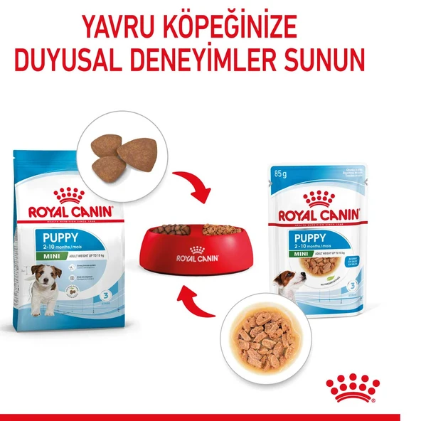 Royal Canin Mini Puppy Pouch Konserve Yavru Köpek Yaş Maması 85 Gr - Resim 5