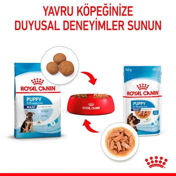 Royal Canin Maxi Puppy Büyük Irk Yavru Köpekler İçin Parça Etli Konserve Yaş Mama Pouch 140 Gr - Resim 5