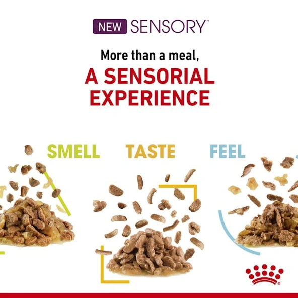Royal Canin Sensory Smell Pouch Kedi Konserve Yaş Maması 85 Gr - Resim 5