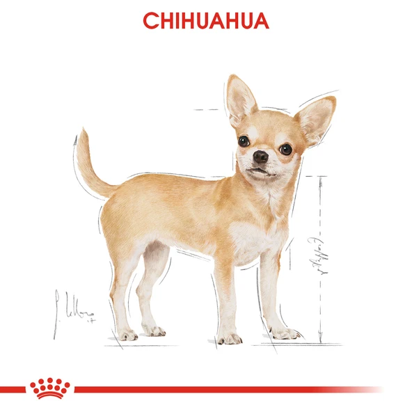 Royal Canin Chihuahua Yetişkin Yaş Köpek Mama Pouch 85 gr - Resim 7